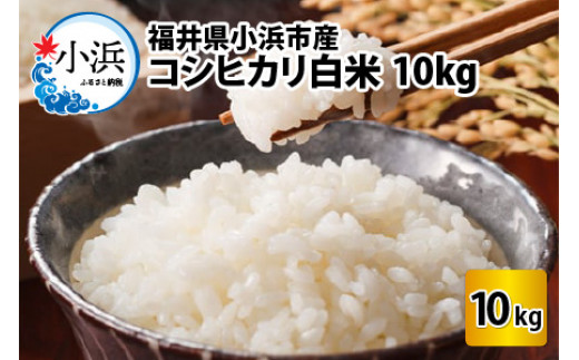 【令和5年産】 福井県産 こしひかり 白米 10kg 若狭の恵  [BFAG026]