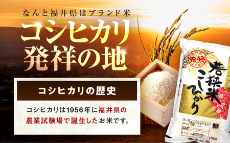  福井県産 コシヒカリ 精米 (白米) 10kg 一等級　福井県米 /甘みと粘りが際立つ 王道米 こしひかり 小浜市 / 若狭ふれあい市場 [BFEL018]
