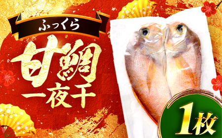 甘鯛一夜干 一尾 / 若狭 小浜 干物 魚 真空パック お取り寄せ / 小浜海産物 【配送不可地域：北海道・沖縄・離島】 [BFAA147]