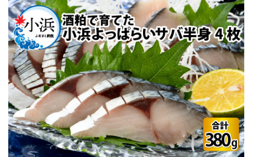 国産 小浜よっぱらいサバ 半身95g×4枚 合計380g  【配送不可地域：北海道・沖縄・離島】  [BFAA057]
