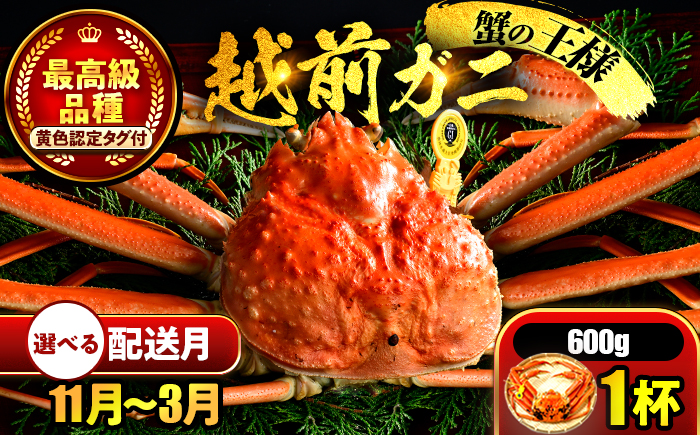 【先行予約】 【2月配送】 越前がに 600ｇ×1杯 小浜市 / まるほ商店 【配送不可地域：北海道・沖縄・離島】[BFCS018-2]
