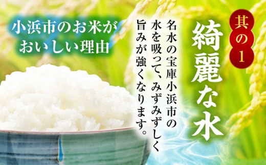 【2回定期便】【福井県産】 1回目：コシヒカリ 白米 10kg 2回目： いちほまれ 白米 10kg 福井県米 / コシヒカリ発祥 ブランド 特A常連 小浜市 / 若狭ふれあい市場 [BFEL052]