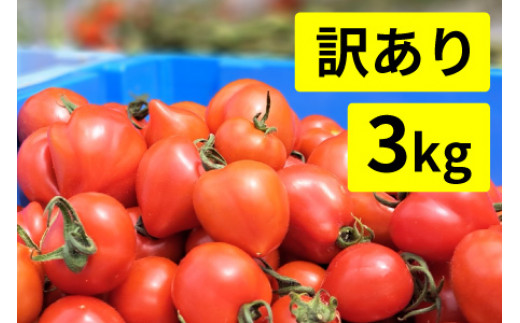 【訳あり】めぐみでぃトマト 3kg 若狭の恵 [BFAG001]
