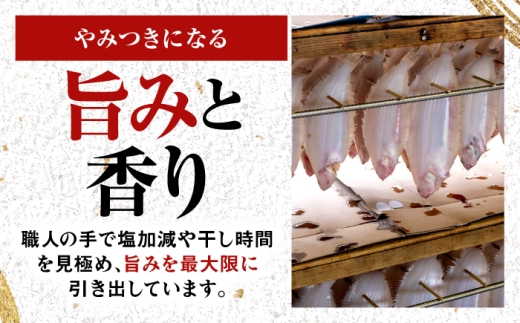 献上鰈 上品な味わい 若狭かれい一夜干し 約100g×10尾セット / 干物 魚介 冷凍 ギフト 小浜市 / まるほ商店 【配送不可地域：北海道・沖縄・離島】 [BFCS060]
