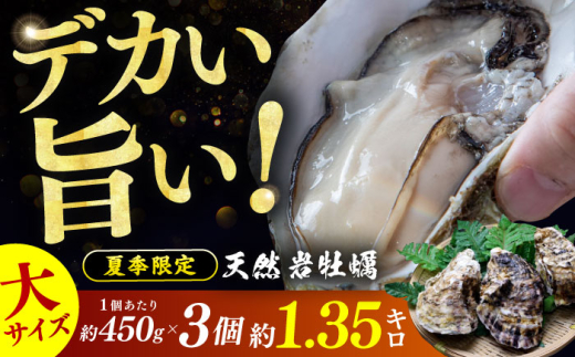 【先行予約 / 2026年6月下旬より順次発送】若狭湾 生食用 天然岩牡蠣 大3個（軍手、牡蠣ナイフ付き） 小浜市 / 加福鮮魚【配送不可地域：北海道・沖縄・離島】 [BFBC008]