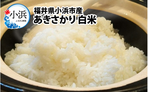 【令和6年産】福井県産あきさかり　白米5kg　若狭の恵 [BFAG013]