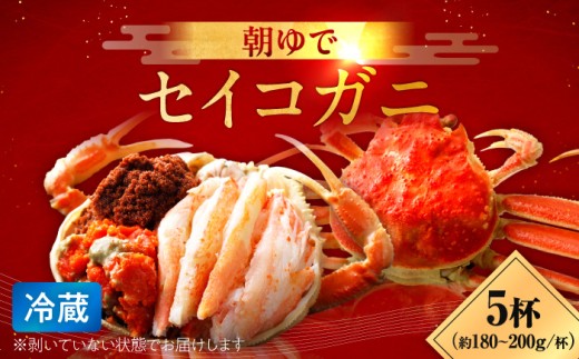 【先行予約/11月7日より順次発送】朝ゆで国産セイコガニ　5杯| 蟹 かに カニ 越前ガニ 越前がに せいこがに セイコガニ せいこ蟹 ボイル 5匹 福井 冷蔵 メス ずわいがに 送料無料 セコガニ せこがに せいこ セイコ せいこガニ セイコ蟹  【配送不可地域：北海道・沖縄・離島】  [BFAA004]