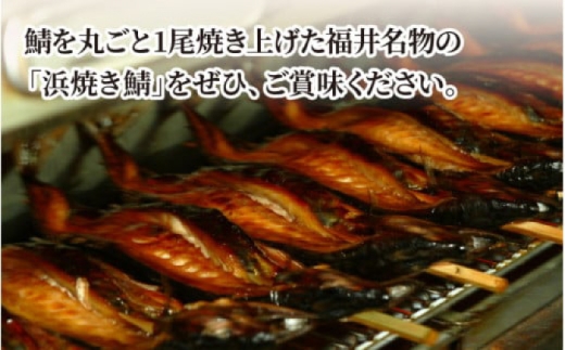 浜焼き鯖 400g  2尾 【配送不可地域：離島】 小浜市 / 朽木屋 [BFCM003] 