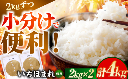 [いちほまれ 2kg×2袋]福井県産 いちほまれ 2kg×2袋 合計4kg 福井県 ブランド米 / 白米 精米 甘みとつや 小浜市 / シマダ農園 [BFAV013]