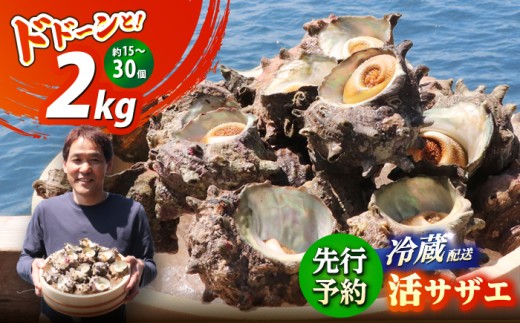 先行予約 2026年6月発送 サザエ 天然 活サザエ 2kg 15〜30個 朝獲れ BBQ 【期間限定】【配送不可地域：北海道・沖縄・離島】 小浜市 / 桝屋商店 [BFAO015]
