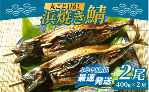 浜焼き鯖 400g  2尾 【配送不可地域：離島】 小浜市 / 朽木屋 [BFCM003] 