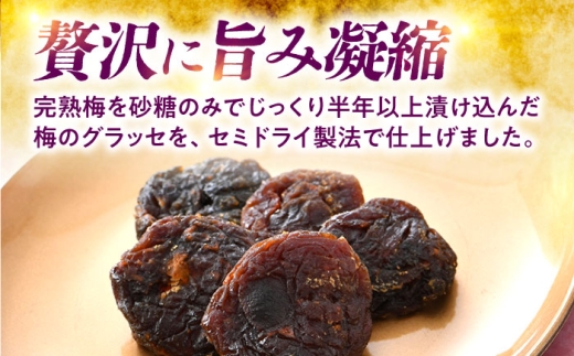 うめグラッセ セミドライ 16粒入 紅映梅使用 / 梅 ウメ 甘酸っぱい 梅スイーツ 小浜市 / アップ・トゥ・ユウ [BFAU006]