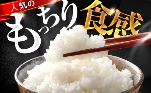 【7月発送】小浜市産コシヒカリ 精米 10kg 若狭の自然が育てたごはん 国産米 福井県 / 白米  地域密着 米問屋 小浜市 / 梅田東米穀店 [BFEK008]