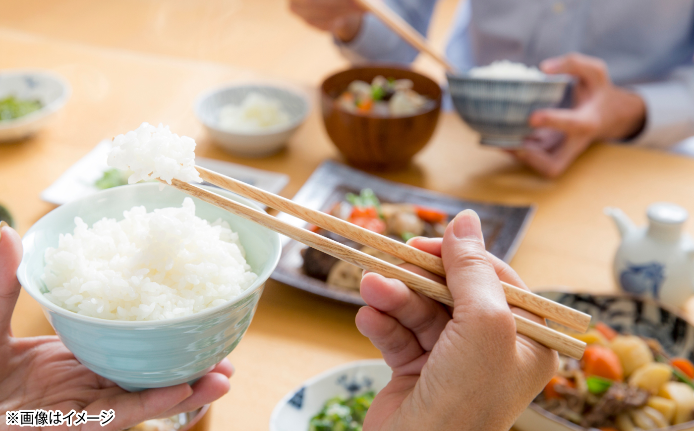 【先行予約/10月以降配送】【令和8年産】福井県 小浜産 にじのきらめき 10kg [BFDI004]