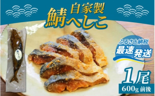 【自家製】 鯖へしこ 1尾 小浜市 / 朽木屋 [BFCM001]