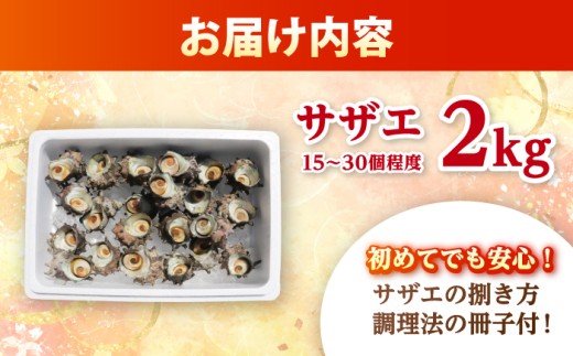 先行予約 2026年6月発送 サザエ 天然 活サザエ 2kg 15〜30個 朝獲れ BBQ 【期間限定】【配送不可地域：北海道・沖縄・離島】 小浜市 / 桝屋商店 [BFAO015] 