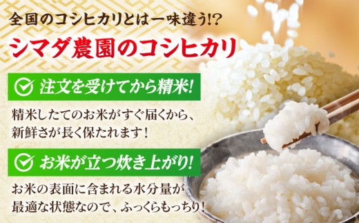 【令和7年産】真空パック 福井県産こしひかり 300g(約2合) × 10パック 計3kg | 真空包装 コシヒカリ こしひかり 白米 精米 個包装 小分けパック 少量 小浜市 / シマダ農園 [BFAV004]