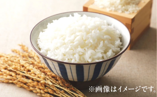 【令和8年産 新米】 【先行予約 / 8月下旬より順次発送 】 ハナエチゼン 白米 10kg / 米 お米 精米 小浜市 / 北川博司 [BFDG004]