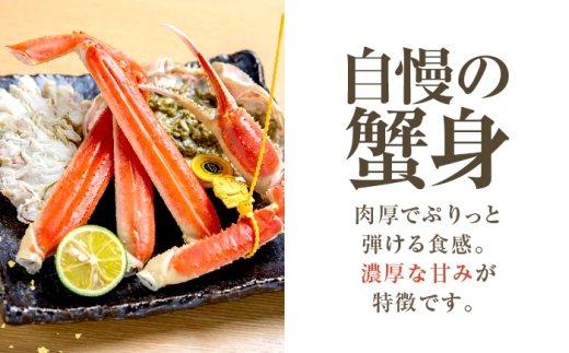 【先行予約/11月7日より順次発送】 越前がに 800ｇ×1杯 小浜市 / まるほ商店 【配送不可地域：北海道・沖縄・離島】[BFCS024-11]
