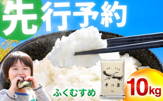 【 先行予約 /11月以降発送】 【令和7年産】 特別栽培米 福井県産 ふくむすめ 10kg お米 白米 小浜市 / 今富の宝 [BFCI006]