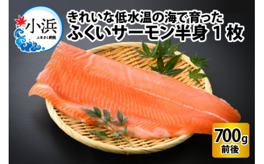 【先行予約】国産 ふくいサーモン 半身1枚 700g  【配送不可地域：北海道・沖縄・離島】 小浜市 / 小浜海産物産 [BFAA078]
