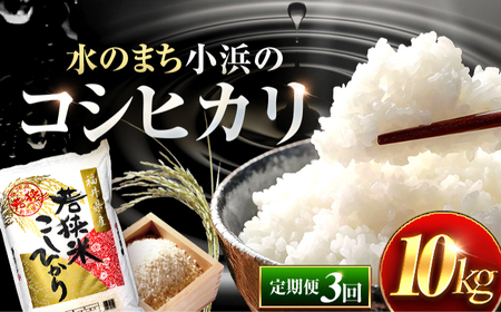 【3回定期便】 福井県産 コシヒカリ 精米 (白米) 10kg 一等級　福井県米 /甘みと粘りが際立つ 王道米 こしひかり 小浜市 / 若狭ふれあい市場 [BFEL031]