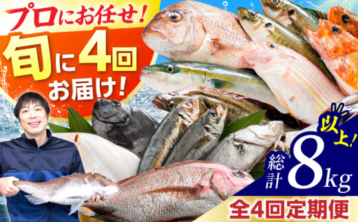 【定期便】 【全4回(3ヶ月毎発送)】 【下処理済】 旬の天然鮮魚 2kg 以上 おまかせ セット 【加福鮮魚】「若狭小浜港産地直送」！　小浜市 / 加福鮮魚  【配送不可地域：北海道、北東北（秋田、青森、岩手）、九州、沖縄、離島】 [BFBC015]