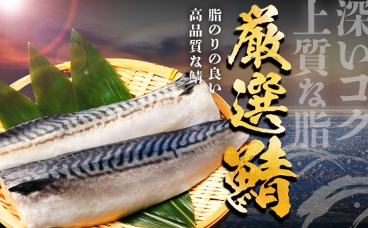 焼き鯖フィーレ 半身 骨なし 5枚×4パック 【脂がのったノルウェー鯖 解凍してすぐ食べられる】 / サバ 鯖 さば 冷凍 小浜市 / 若廣 【配送不可地域：北海道・沖縄・離島】 [BFAM013]