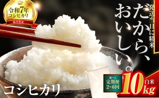 【3か月連続発送】小浜市産コシヒカリ 精米 10kg 若狭の自然が育てたごはん 国産米 福井県 / 白米  地域密着 米問屋 小浜市 / 梅田東米穀店 [BFEK015]