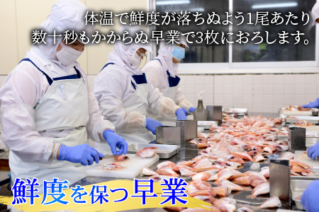 小鯛ささ漬大樽 180g×1樽  【配送不可地域：離島】  [BFAA043] 