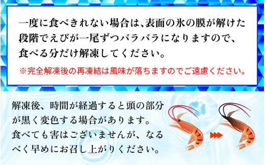子持ち甘えび 約40尾 ×1箱（500ｇ）  【配送不可地域：北海道・沖縄・離島】  [BFAA048] 