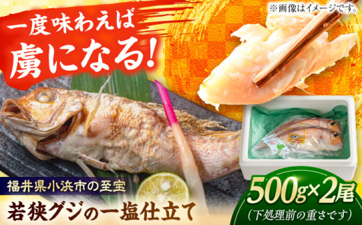 若狭グジの一塩仕立て 500g×2尾   小浜市 / まるほ商店 【配送不可地域：北海道・沖縄・離島】  [BFCS002]