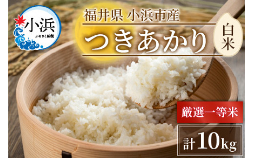 【令和6年産】福井県産 つきあかり 白米10kg 若狭の恵| 米 お米 コメ こめ 白米 精米 10キロ 令和6年度産 [BFAG009]