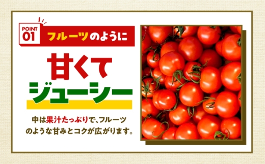 めぐみでぃトマト100%ジュース　500ml×3本　若狭の恵 小浜市 / 若狭の恵  [BFAG002]