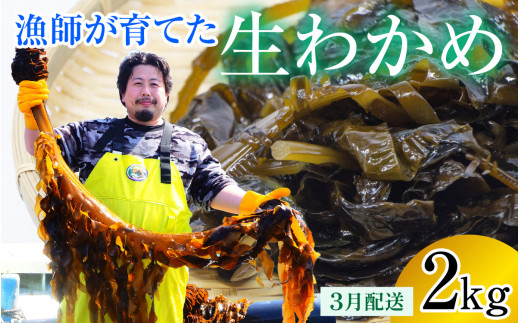 【先行予約】【採れたて】【養殖】漁師が育てた 生わかめ 2kg【3月より順次発送】 [BFBG008]