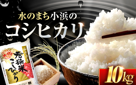  福井県産 コシヒカリ 精米 (白米) 10kg 一等級　福井県米 /甘みと粘りが際立つ 王道米 こしひかり 小浜市 / 若狭ふれあい市場 [BFEL018]
