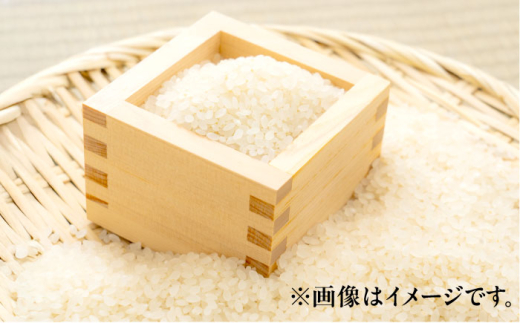 【令和8年産 新米】 【先行予約 / 8月下旬より順次発送 】 ハナエチゼン 白米 10kg / 米 お米 精米 小浜市 / 北川博司 [BFDG004]
