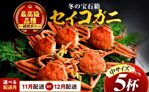 【先行予約】 【11月配送】  セイコガニ（ズワイガニのメス）中サイズ 5杯  小浜市 / まるほ商店 【配送不可地域：北海道・沖縄・離島】[BFCS015-11]