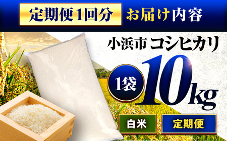 【2か月連続発送】小浜市産コシヒカリ 精米 10kg 若狭の自然が育てたごはん 国産米 福井県 / 白米  地域密着 米問屋 小浜市 / 梅田東米穀店 [BFEK014]