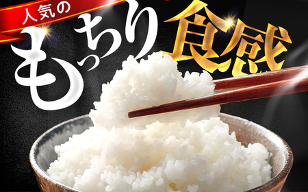 【通常発送】小浜市産コシヒカリ 精米 10kg 若狭の自然が育てたごはん 国産米 福井県 / 白米  地域密着 米問屋 小浜市 / 梅田東米穀店 [BFEK001]