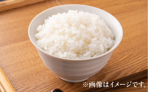 【令和8年産 新米】 【先行予約 / 8月下旬より順次発送 】 ハナエチゼン 白米 10kg / 米 お米 精米 小浜市 / 北川博司 [BFDG004]