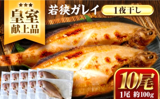 献上鰈 上品な味わい 若狭かれい一夜干し 約100g×10尾セット / 干物 魚介 冷凍 ギフト 小浜市 / まるほ商店 【配送不可地域：北海道・沖縄・離島】 [BFCS060]