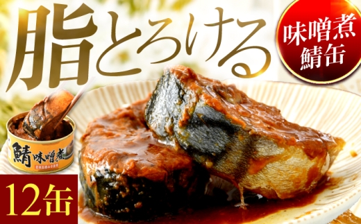 鯖味噌煮缶詰　12缶｜ サバ缶 鯖缶 さば缶 鯖 サバ さば 缶詰 サバ缶詰 鯖缶詰 缶 詰合せ 詰め合せ セット 非常食 防災 備蓄 常温 常備食 保存食 [BFAB026]