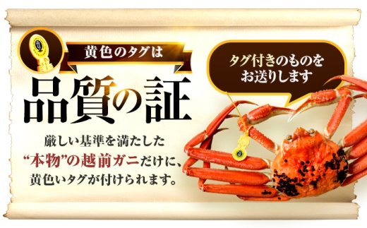 【先行予約/11月7日より順次発送】 越前がに 600ｇ×1杯 / 蟹 ズワイガニ ずわいがに ボイル 冷蔵 小浜市 / まるほ商店 【配送不可地域：北海道・沖縄・離島】[BFCS018]