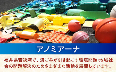 海洋プラスチック アップサイクル デスクセット 白色系 (ペントレイ・小物トレイ) / リサイクル 海洋資源 ビーチクリーン buoy 小浜市 / アノミアーナ [BFDM001]