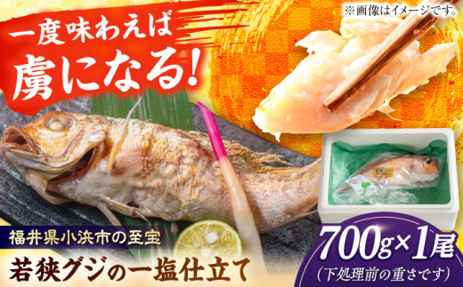 若狭グジの一塩仕立て 700g×1尾   小浜市 / まるほ商店 【配送不可地域：北海道・沖縄・離島】  [BFCS003]