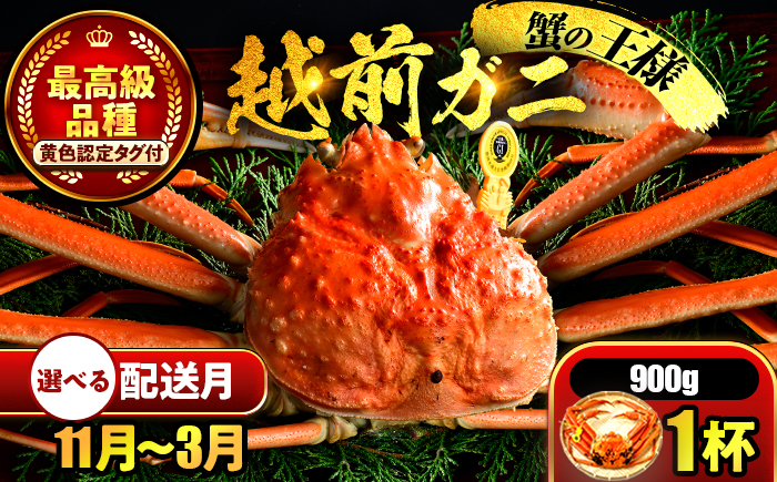 【先行予約】 【3月配送】 越前がに 900ｇ×1杯 小浜市 / まるほ商店 【配送不可地域：北海道・沖縄・離島】[BFCS027-3]