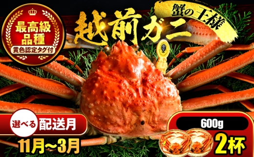 【先行予約】 【希望月指定可】 越前がに 600ｇ×2杯 / 蟹 ズワイガニ ずわいがに ボイル 冷蔵 小浜市 / まるほ商店 【配送不可地域：北海道・沖縄・離島】[BFCS019]