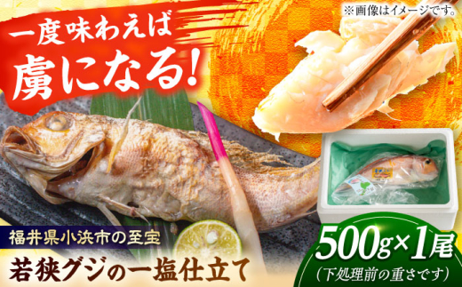 若狭グジの一塩仕立て 500g×1尾   小浜市 / まるほ商店 【配送不可地域：北海道・沖縄・離島】  [BFCS001]