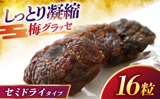 うめグラッセ セミドライ 16粒入 紅映梅使用 / 梅 ウメ 甘酸っぱい 梅スイーツ 小浜市 / アップ・トゥ・ユウ [BFAU006]